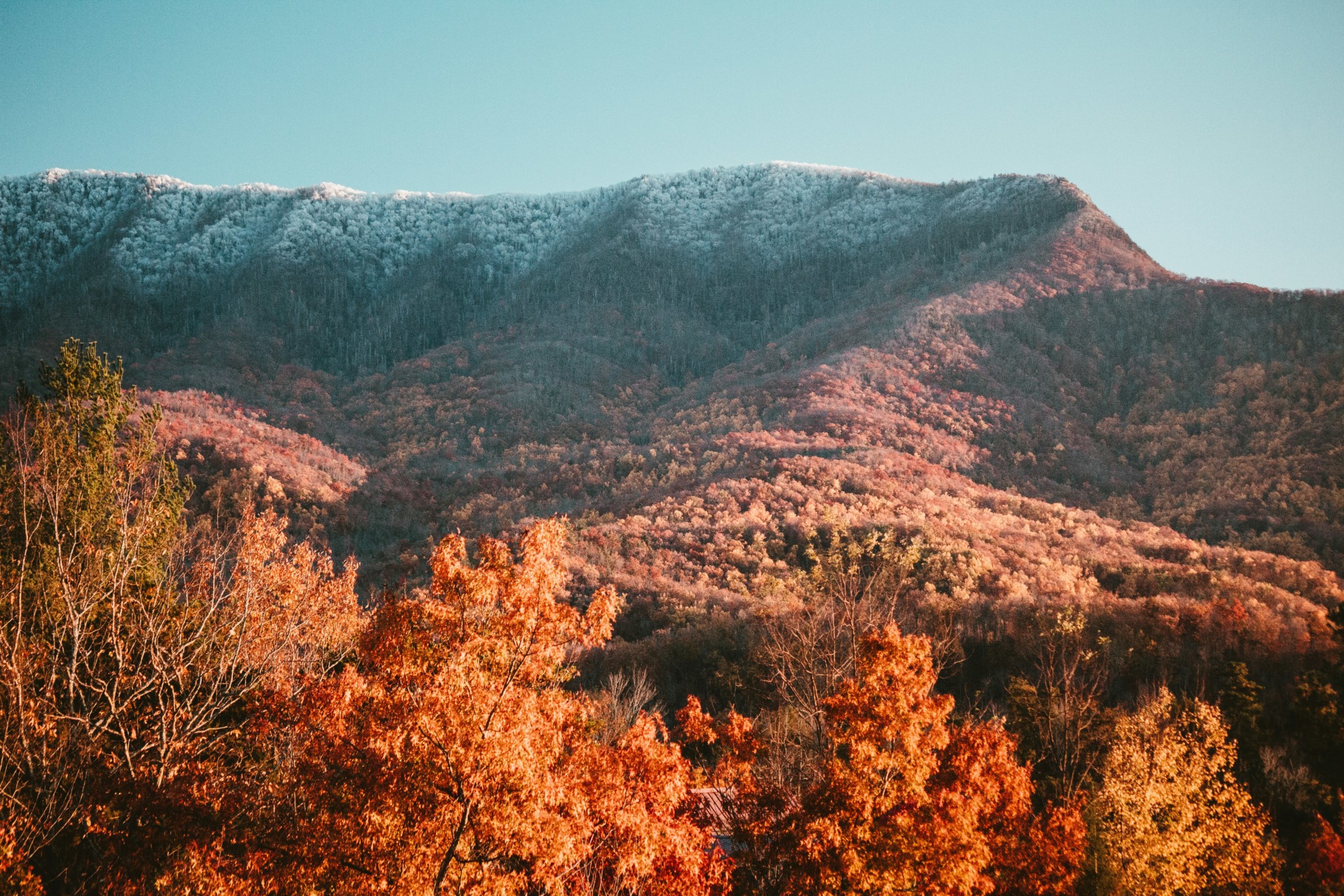 Northern Edge Returns as Multi-Category Finalist in Prestigious 2025 M&A Awards - USA landscape 