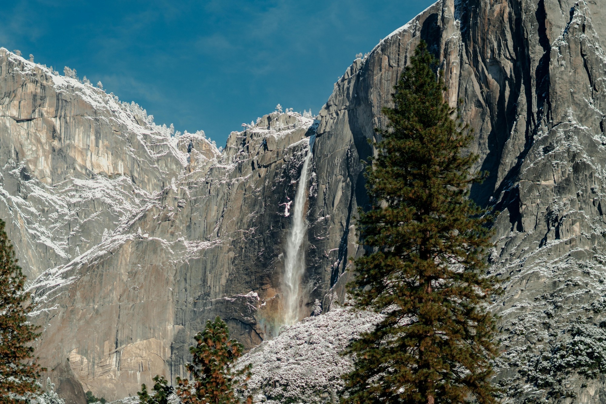 US landscape M&A Advisor Awards 2025 - 