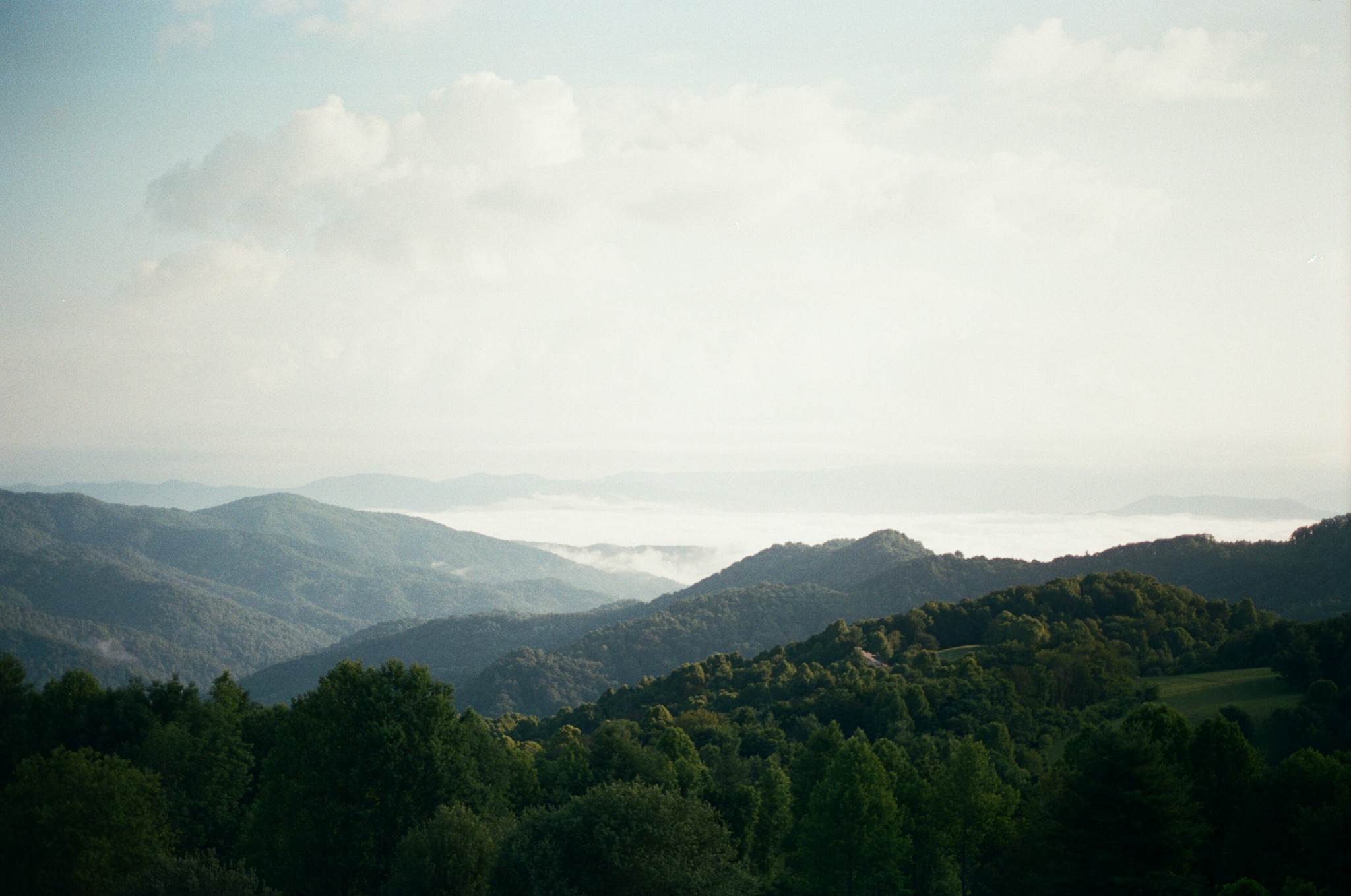 NC landscape - NC landscape